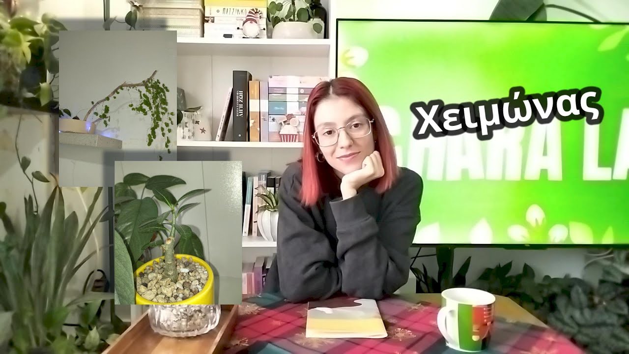 Τα φυτά των χειμώνα!! // Chara Lab
