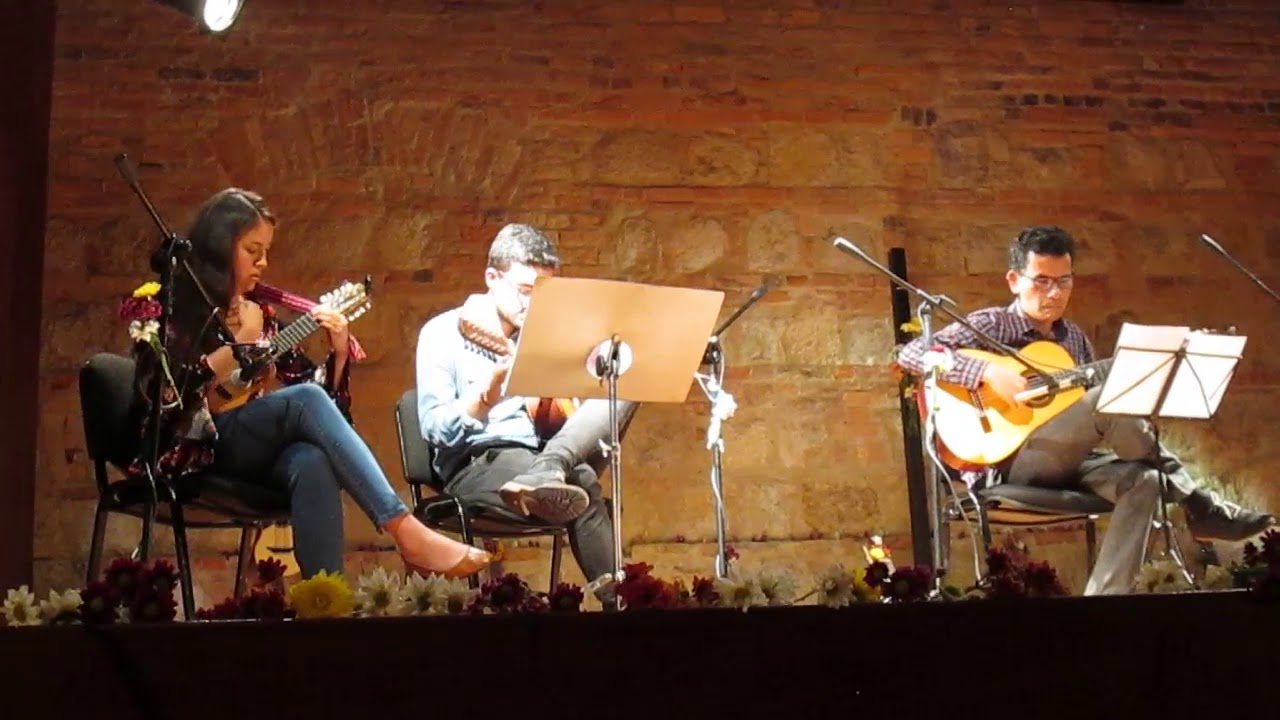 TATIANA NARANJO (Charango) EN CONCIERTO - MUSEO NACIONAL DE COLOMBIA