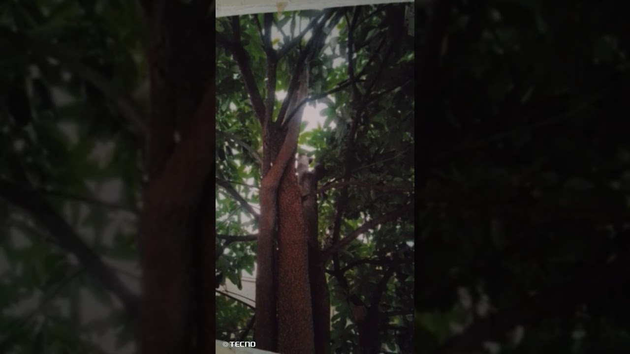 Jerita Serit Tusun Ke 2