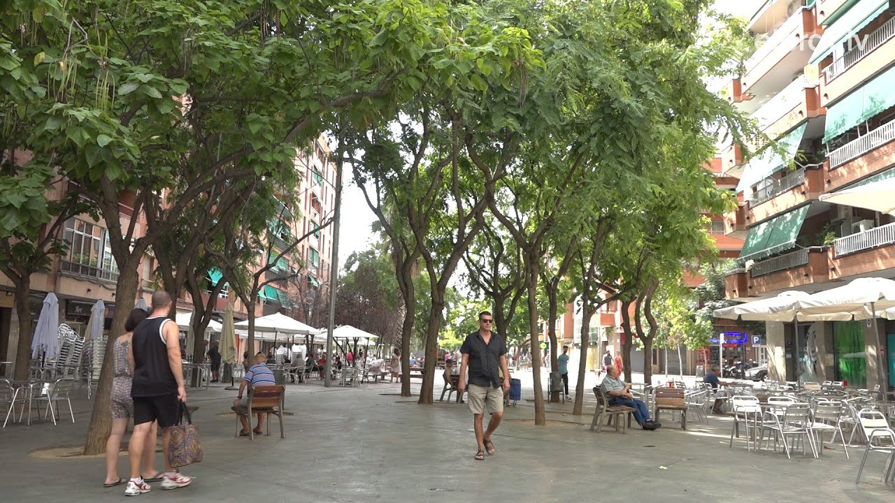 Cau el percentatge d’ús social del català per l’augment de població que no el coneix