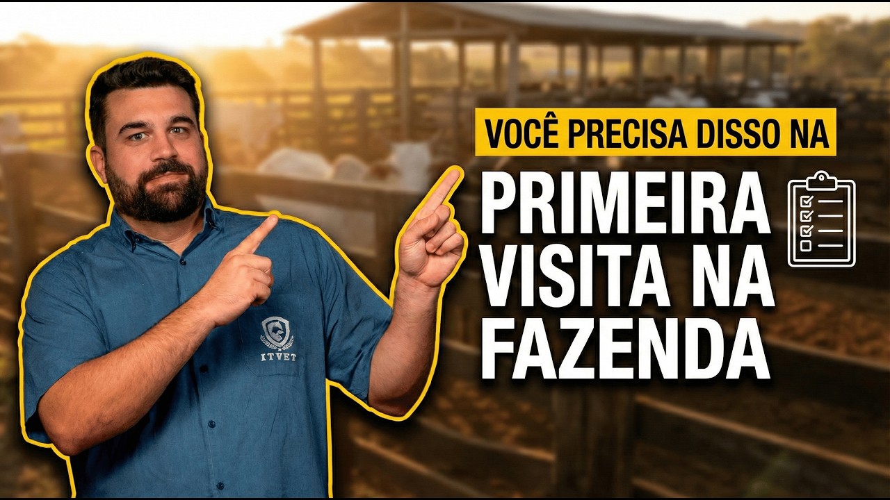 Os 4 PILARES que todo CONSULTOR deve dominar para ATUAR na FAZENDA