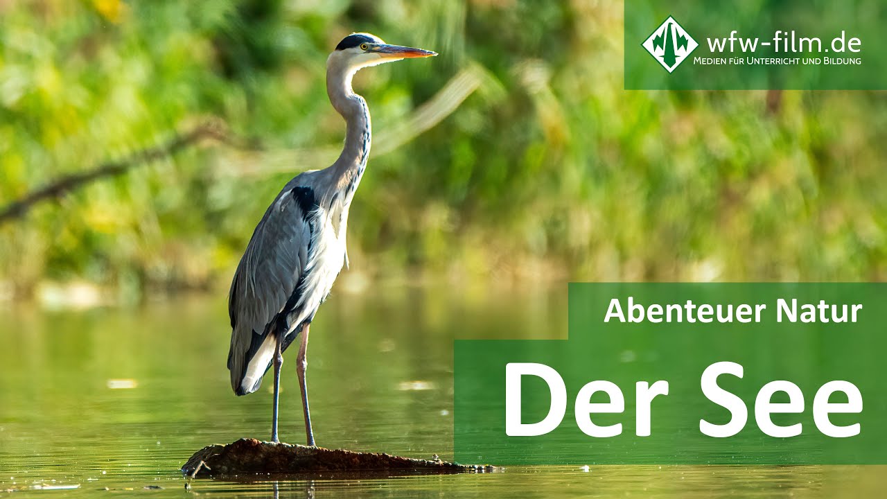 Abenteuer Natur – Der See