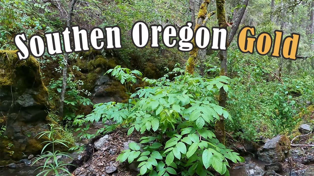 Southern Oregon gold prospecting - Highbanking for gold!