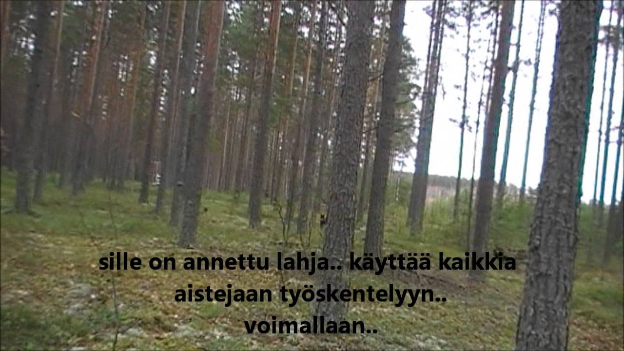 miksi minulla on saksanpaimenkoira
