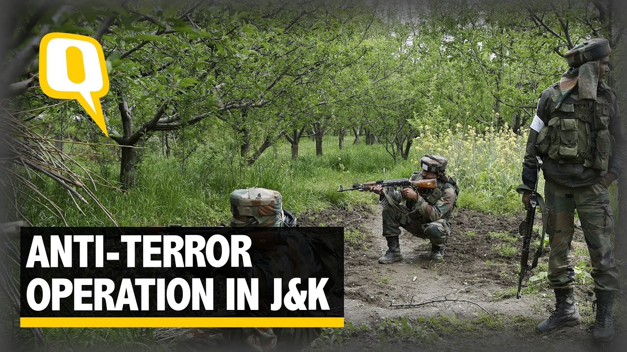 The Quint:  Massive Operation Underway to Flush out Militants in Kashmir