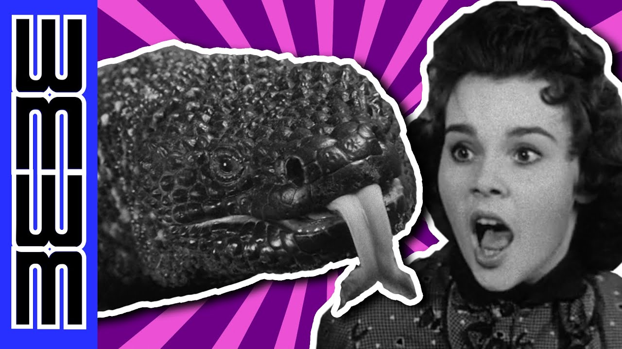 The Lizard That HATES Teenagers!!! - The Giant Gila Monster (1959)