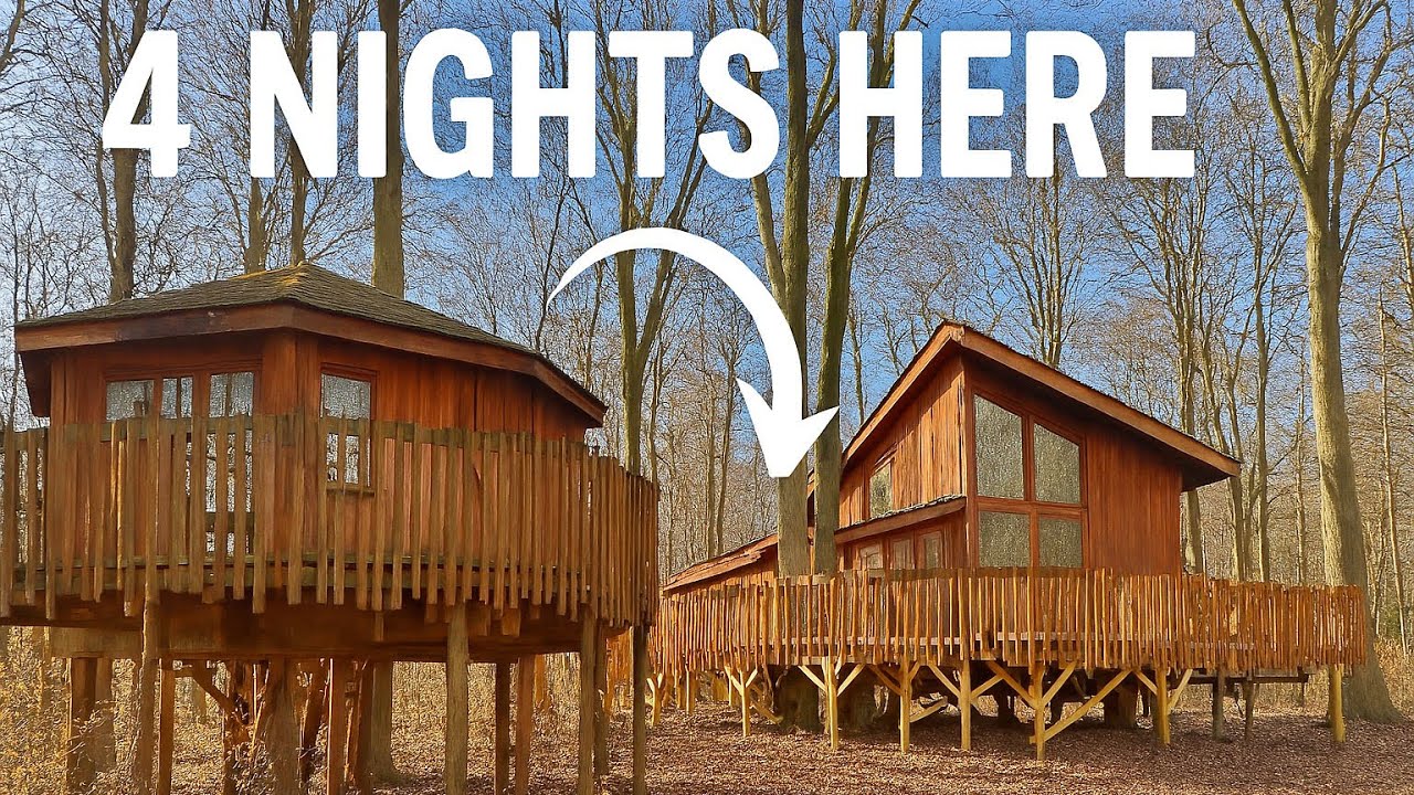Golden Oak Treehouse, Forest Holidays Hampshire