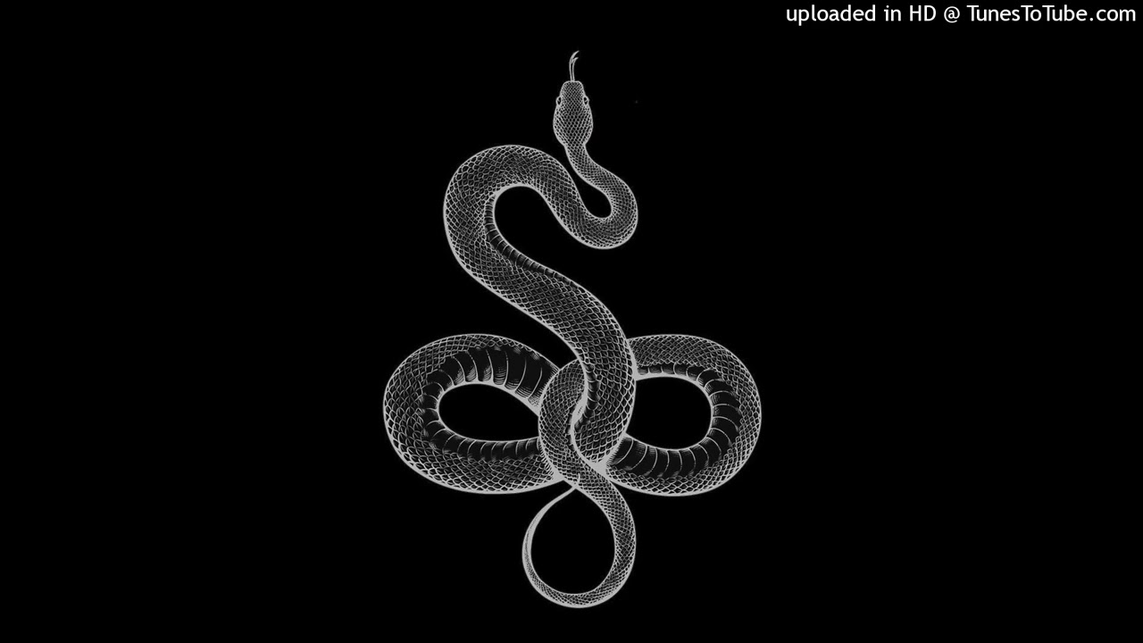 (free) spaceghostpurrp type beat