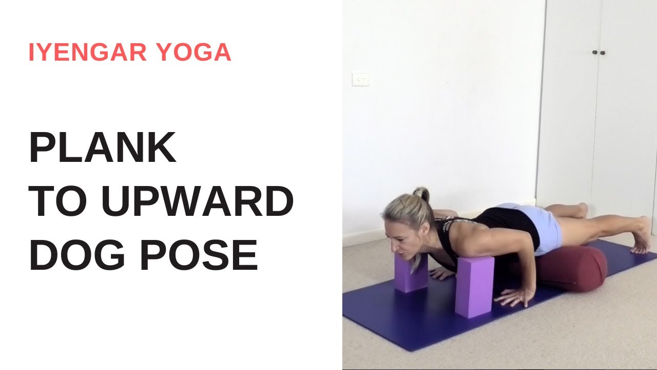 PLANK POSE (Chaturanga Dandasana) to UPWARD FACING DOG (Urdhva Mukha Svanasana) | Iyengar Yoga