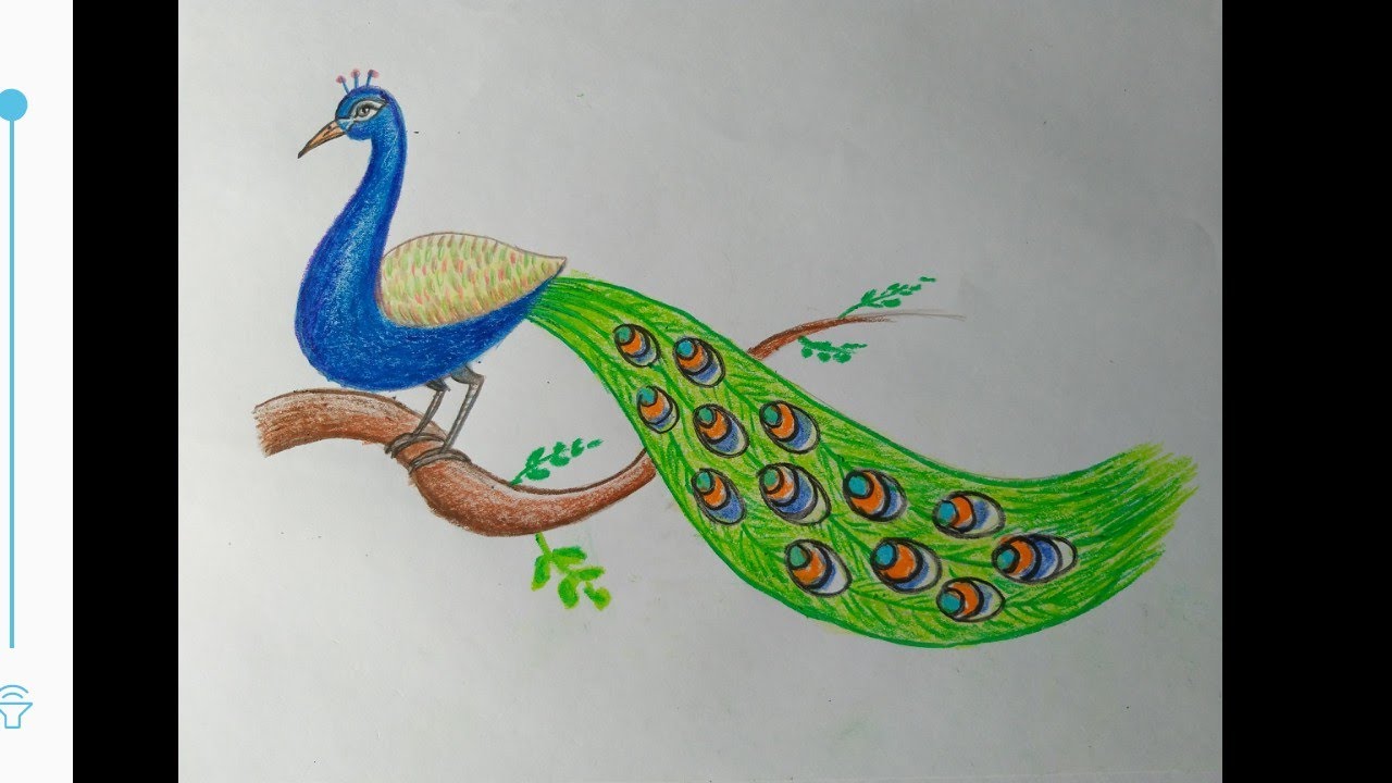 How to make peacock sitting on the branch easy steps / Easy Peacock drawing /