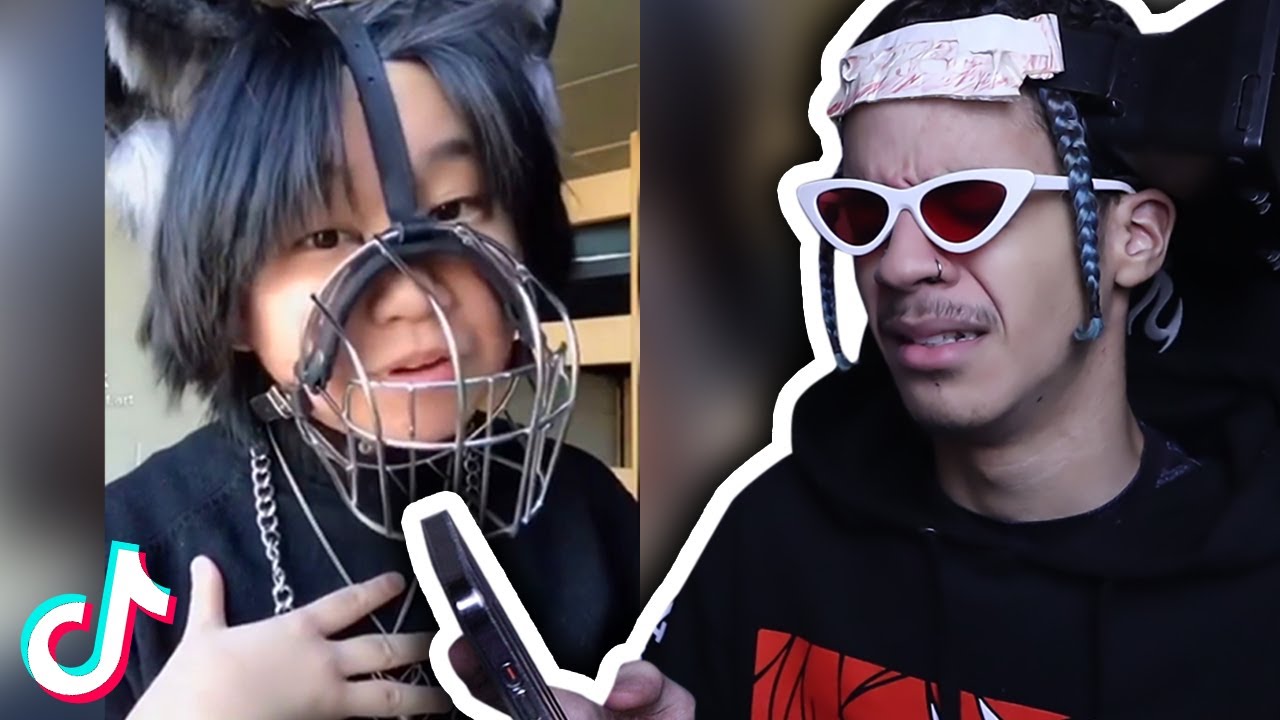Stop Pretending To Be Animals On TikTok Please... (its very cringe)