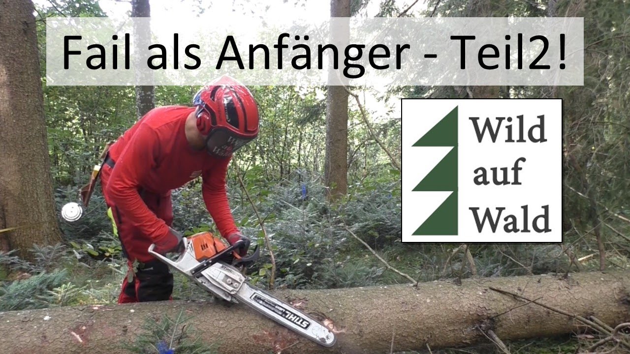 🌲Aufarbeiten Baum: Diese Fehler solltest du niemals machen! #wildaufwald
