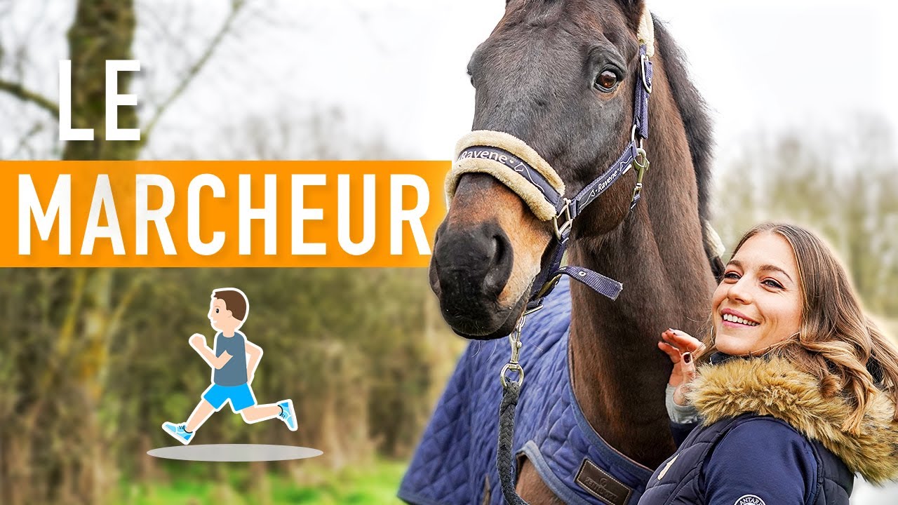 LE MARCHEUR pour chevaux ! Qu'est ce donc ? A quoi ça sert ? Est ce que ça remplace le paddock ?