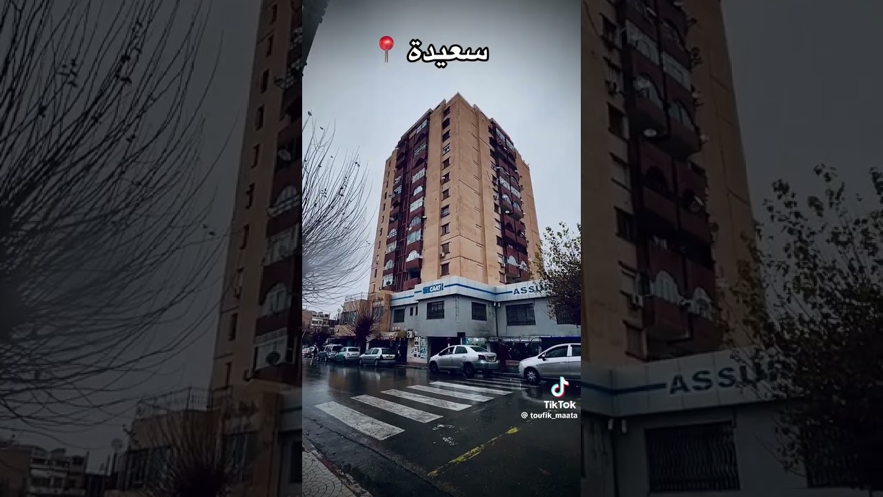 نظرة عامة لأبرز معالم وسط مدينة سعيدة