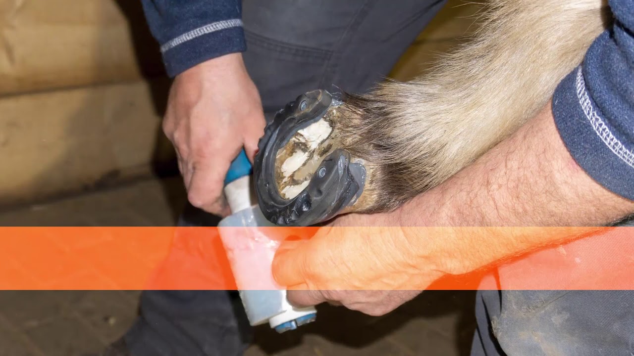 Mini Glushu Glue on horse shoes for Shetlands and Ponies.