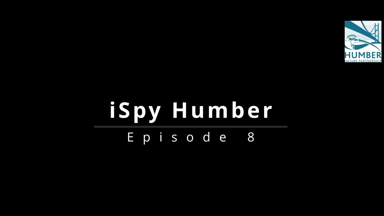 iSpy Humber 8