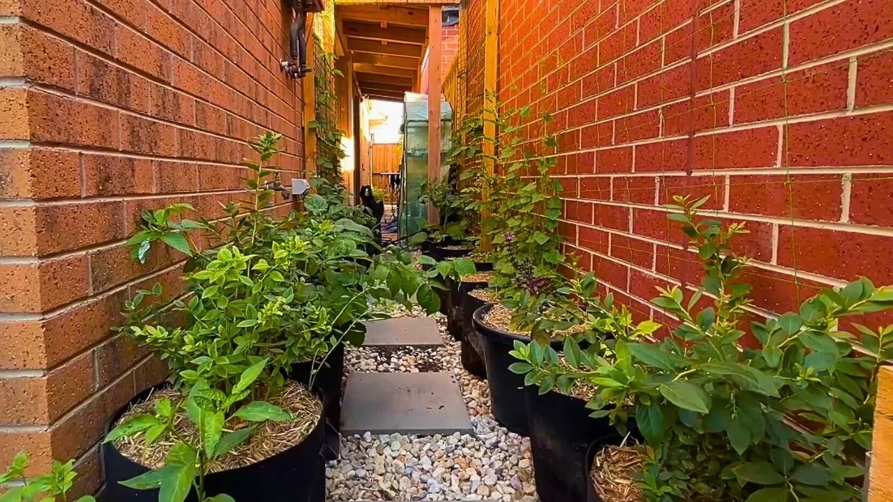 From concrete to Orchard: A 1.2m side path transformation.