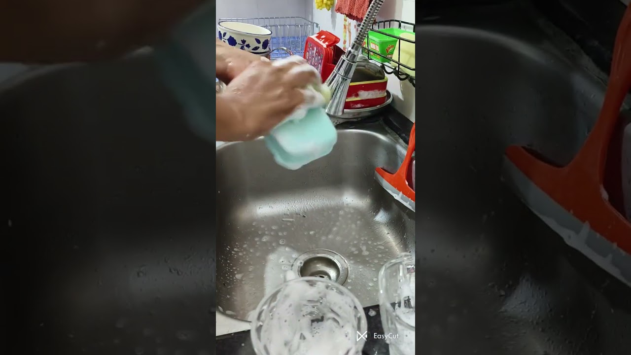 Oddly Satisfying Dishwashing ASMR | No Talking