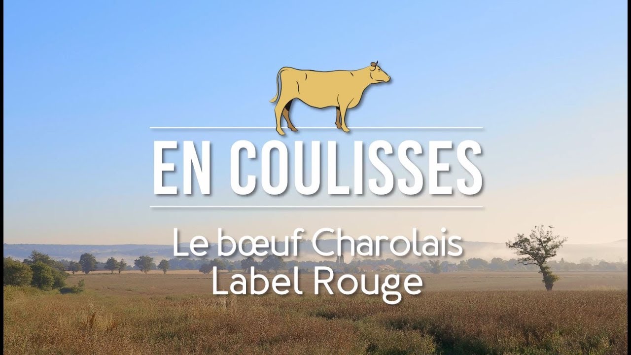 Les Coulisses de Picard : la viande Charolaise Label Rouge