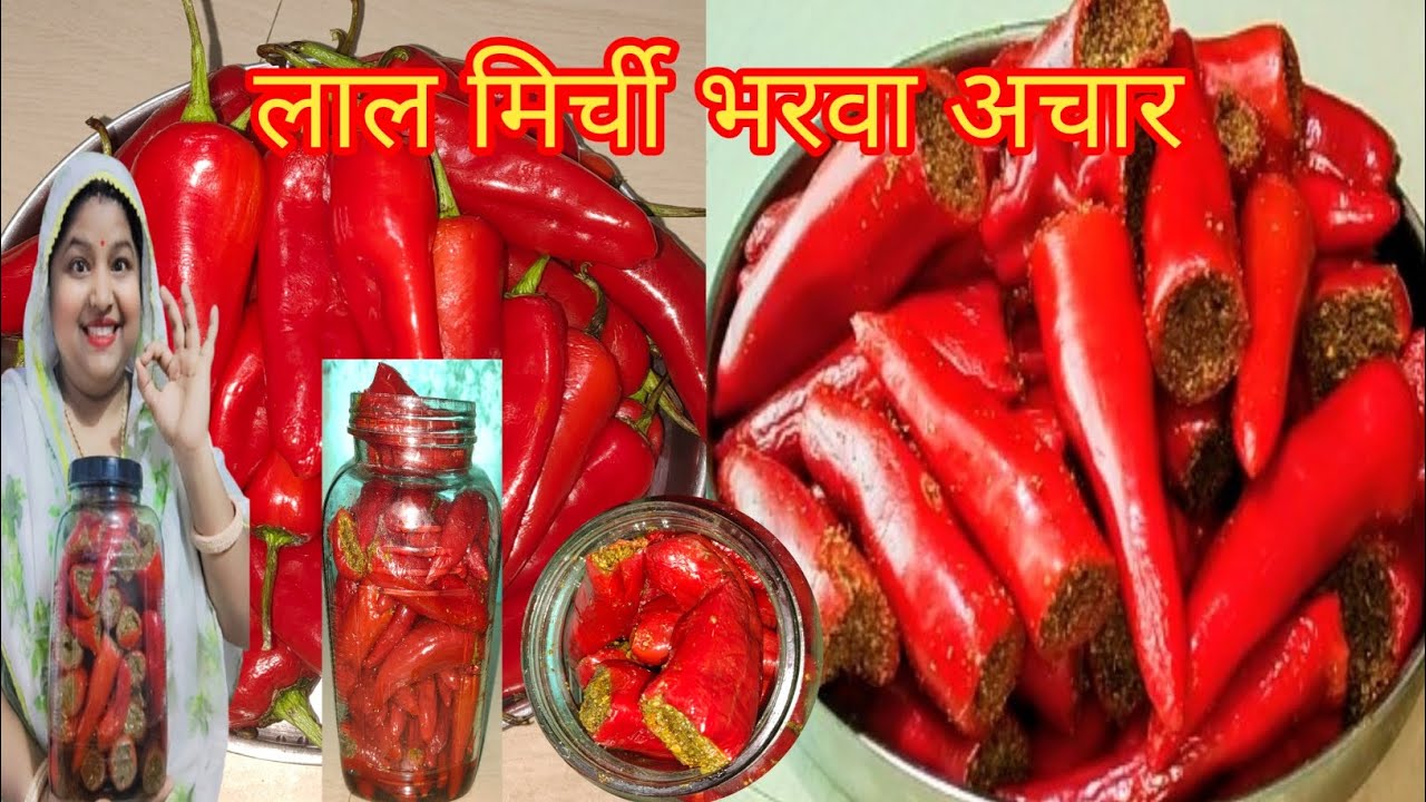 लाल मिर्ची का अचार कैसे बनाएं ?लाल मिर्ची भरवा अचार रेसिपी full detail video Lal mirchi Ka Achar🌶️🌶️