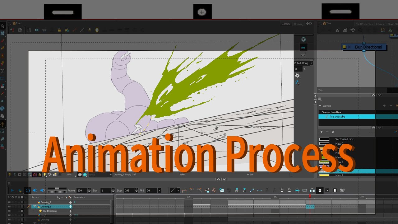 Animation Process: (ANIME)