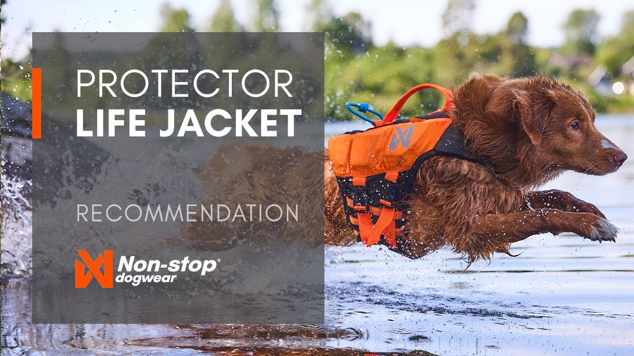 Protector life jacket &ndash; the new standard for dog life jackets