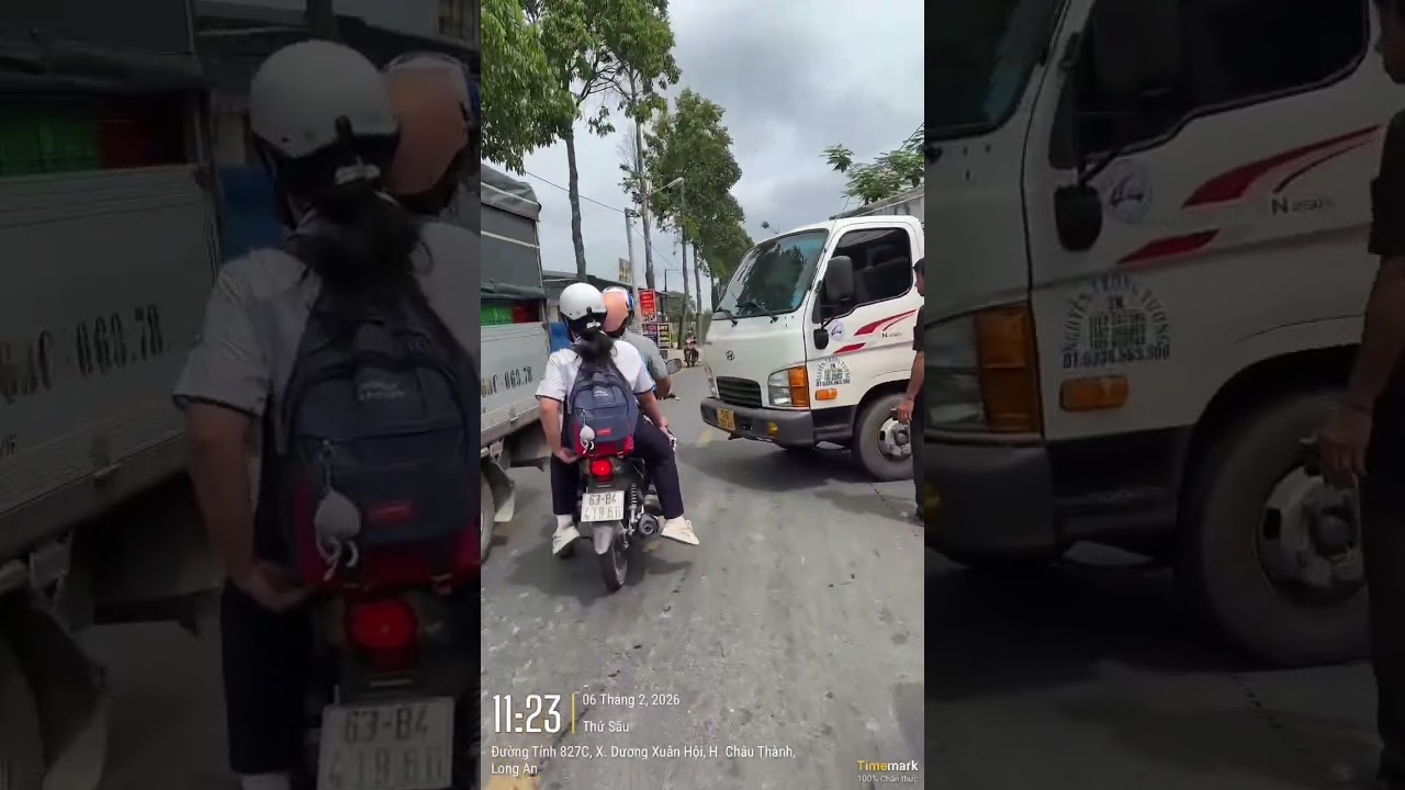 Diễn biến thực tế của thị trường thanh long khu vực long an tiền giang như thế nào.