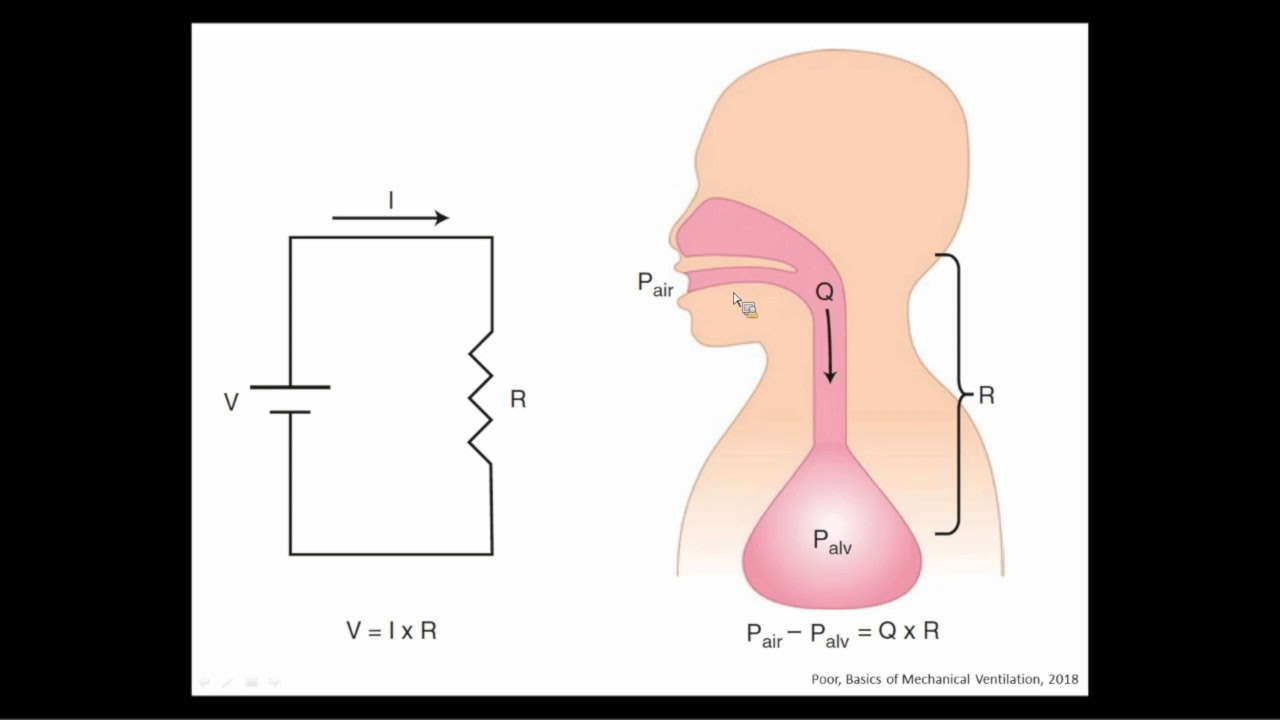 Ventilator-Induced Diaphragmatic Dysfunction: Use it or Lose it