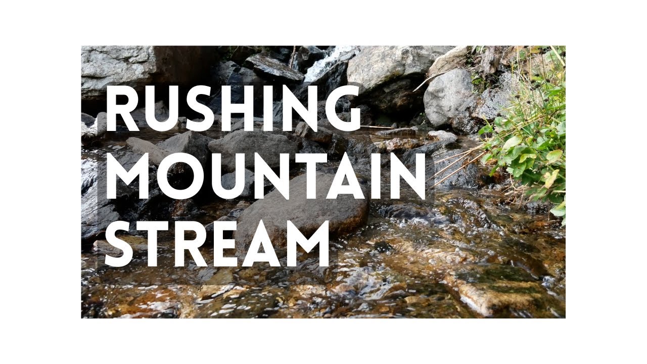 Close Up Stream Sounds