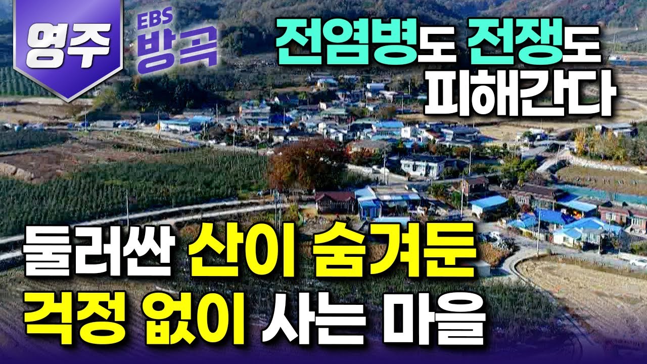 [경북 영주] 