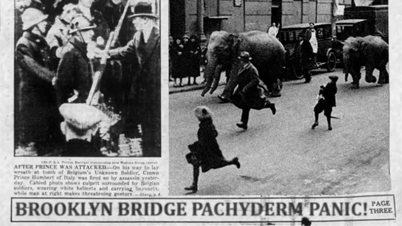 The Brooklyn Bridge Elephant Stampede