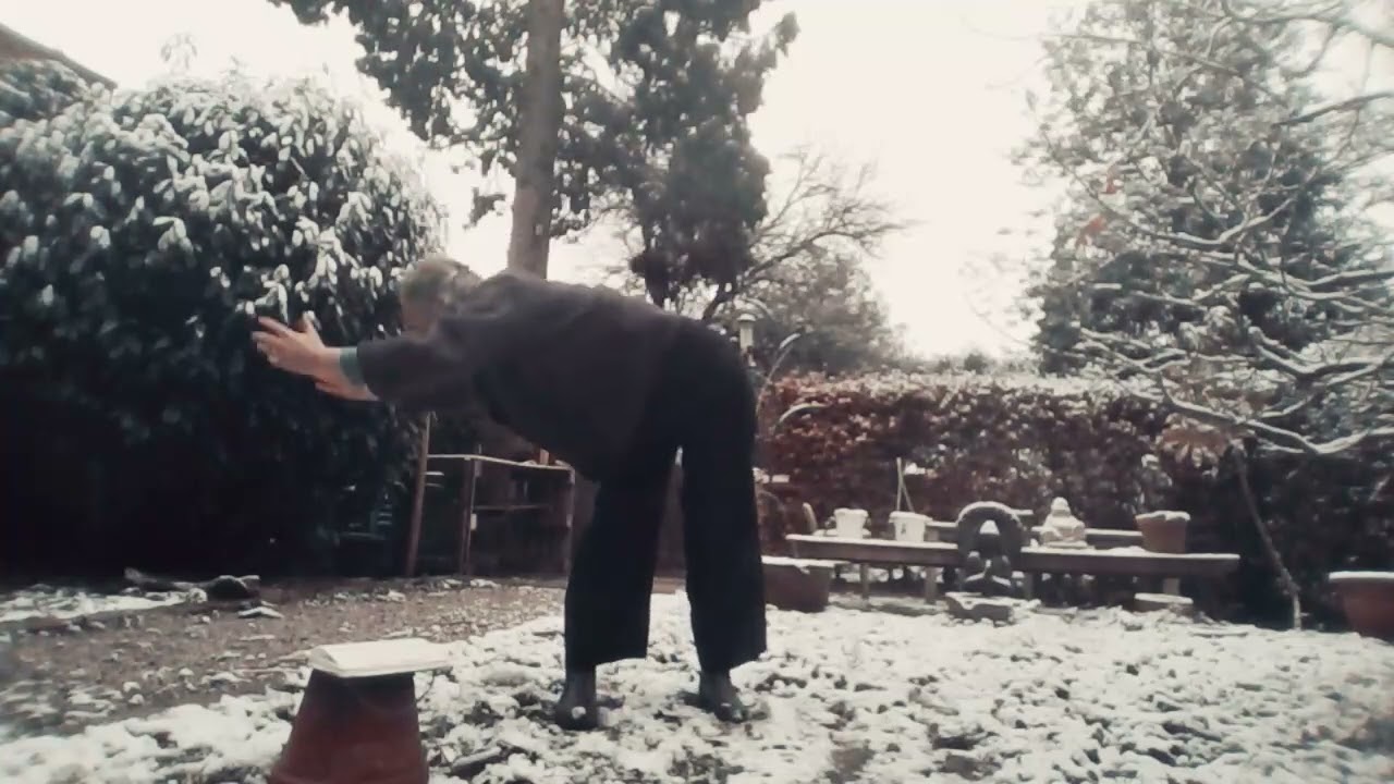 Qi Gong reeks voorjaar 2026