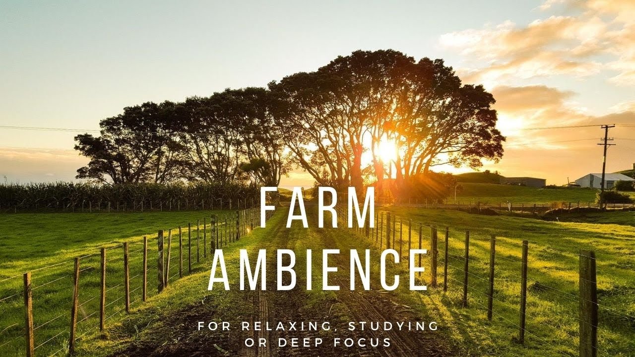 🐄 Farm Ambience - Nature & Farm Sounds for Relaxing and Deep Focus