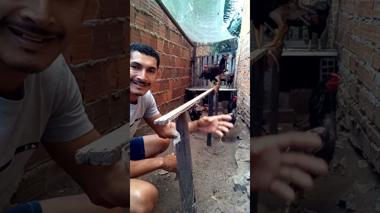 Só ver quem gosta 