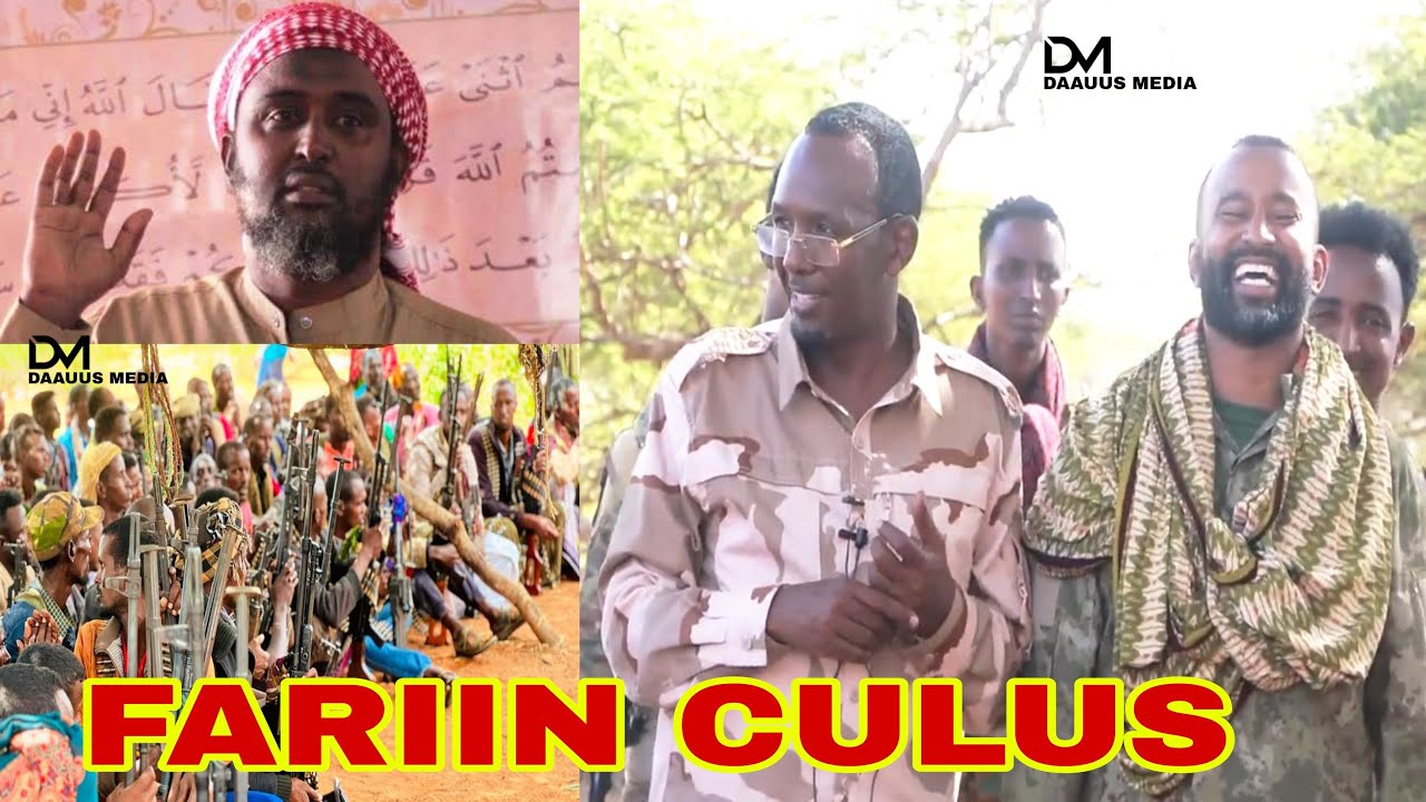 DAAWO: Xildhibaan Sanbaloolshe