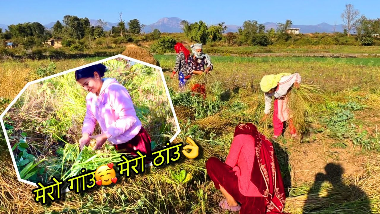 Nepal Villages Life/शहरको भीडबाट टाढा – मेरो गाउँको शान्त जीवन 