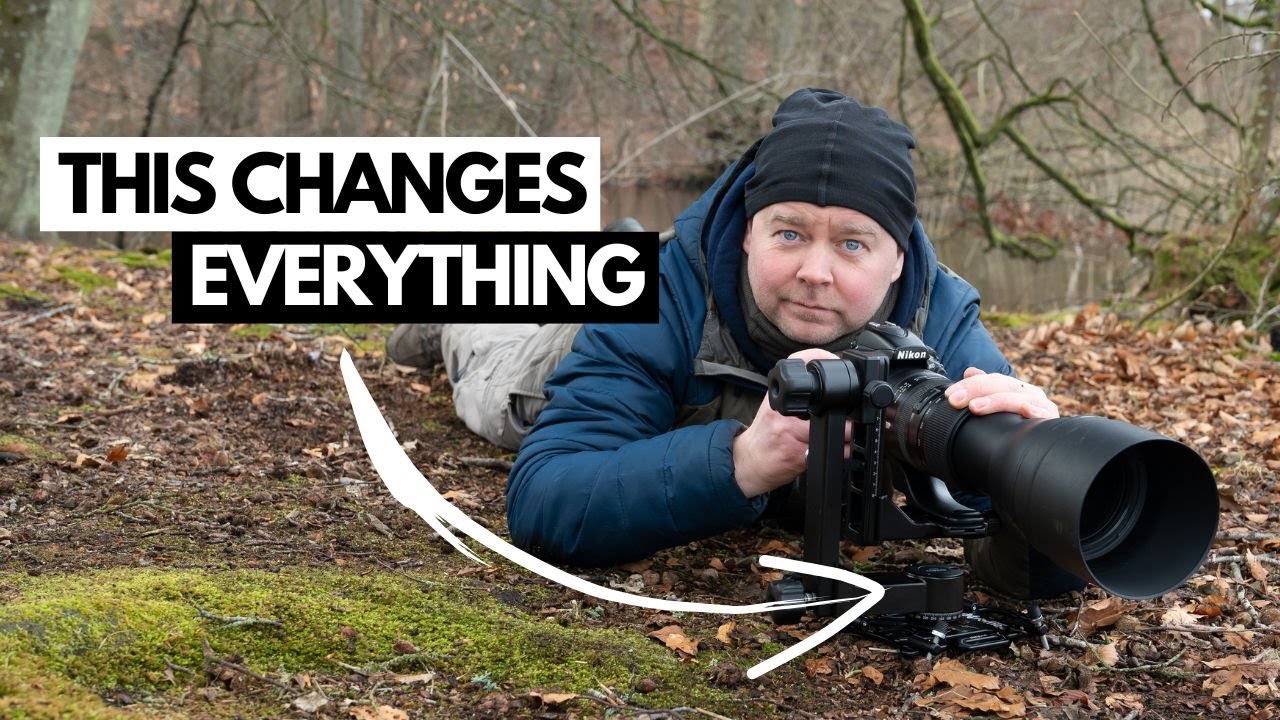 Accesories for Wildlife Photography - That Actually Makes a Difference