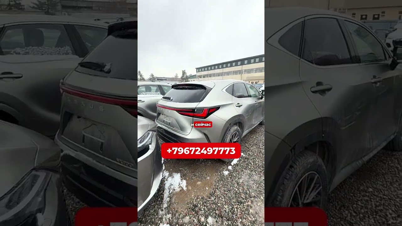 Выкупили новый Lexus NX 200 для нашего клиента🔥