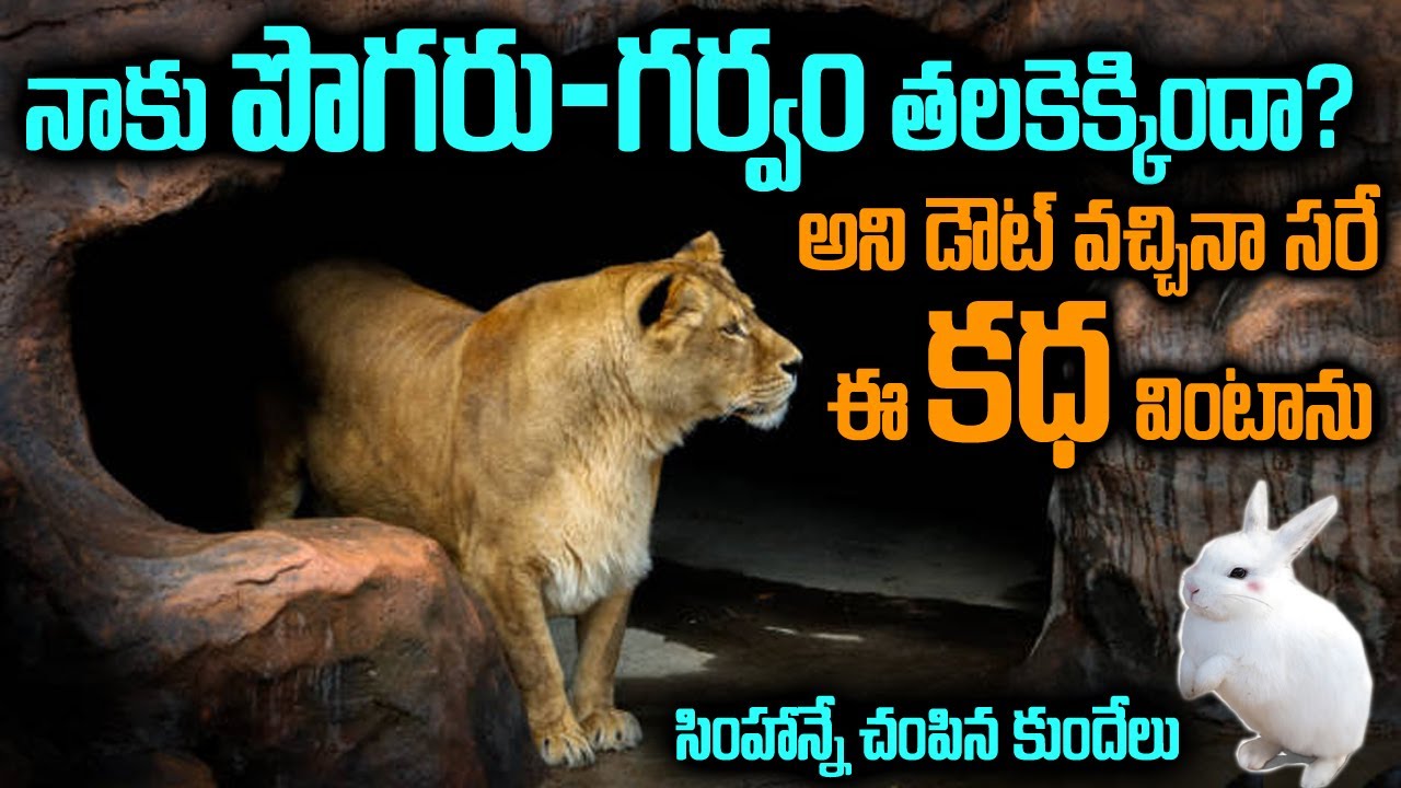 సింహాన్నే చంపిన కుందేలు | Small Rabbit & Huge Lion Story | Voice of Venkat Telugu Motivational Story