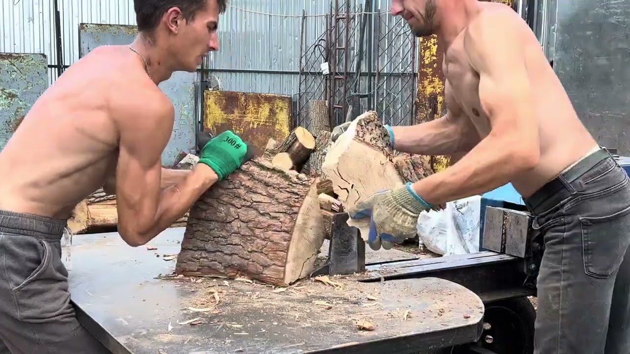 Brutal Forest Work | Giant Stumps Breaking