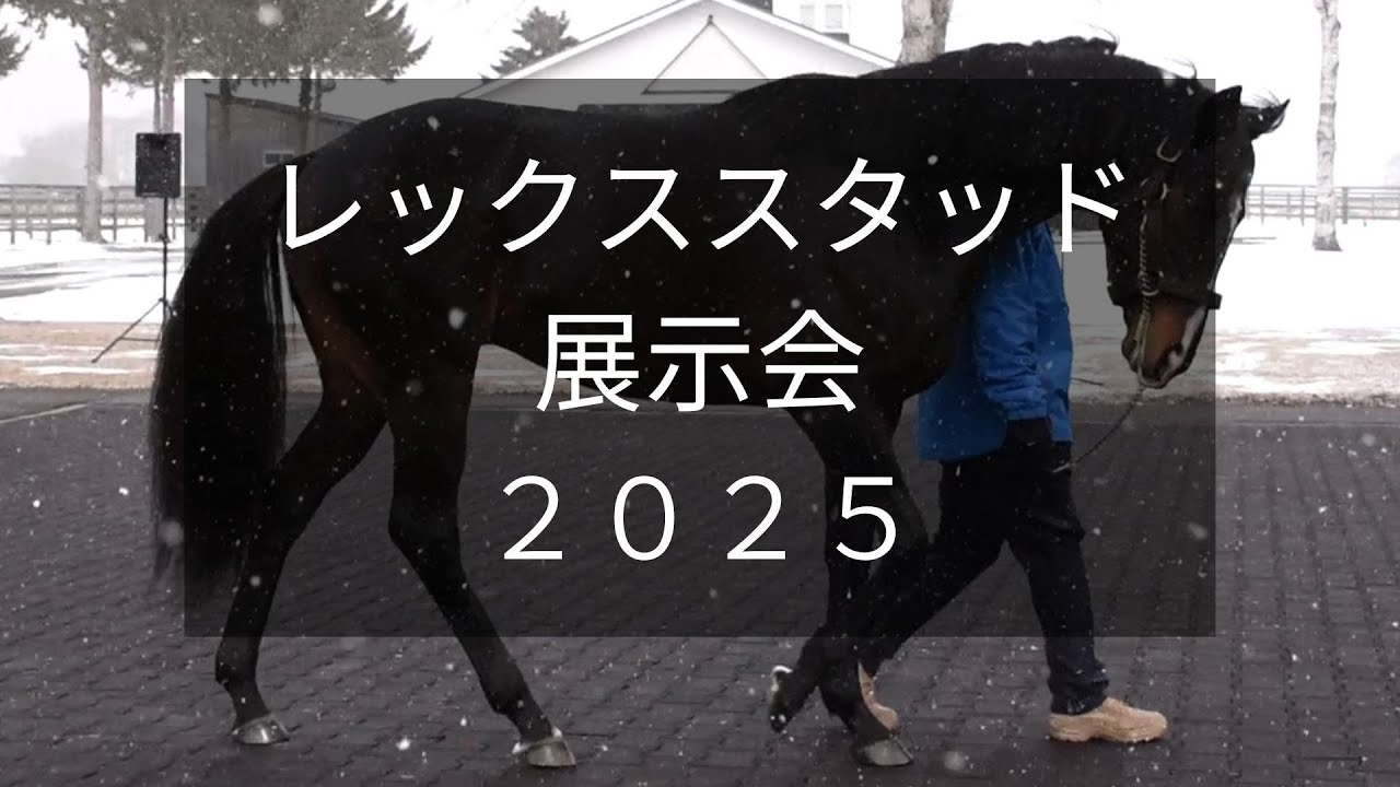 【レックススタッド展示会2025】タイトルホルダーやマカヒキなど21頭が登場！