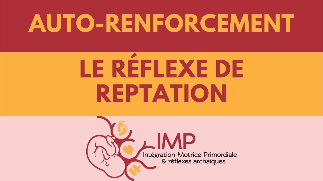 La reptation - Auto renforcement - Intégration Motrice Primordiale IMP