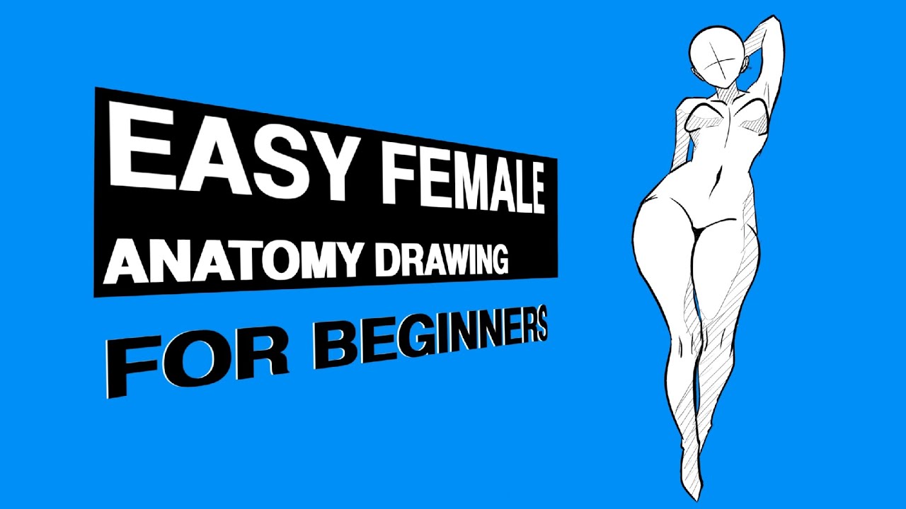 Easy Female Bodies Anatomy Drawing For Beginners || Easy Anatomy Tutorial 