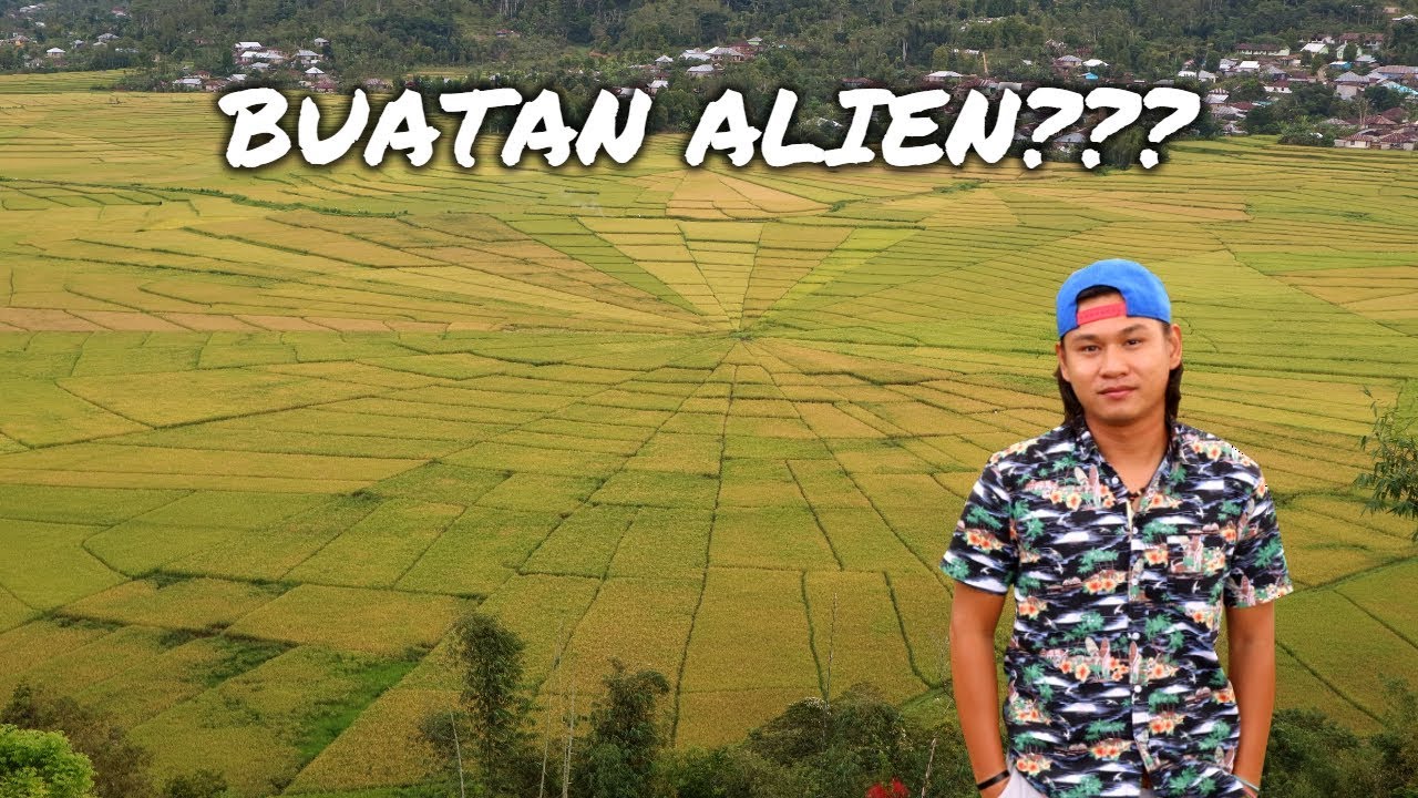 KIG 137| SAWAH BERBENTUK JARING LABA LABA DI NTT