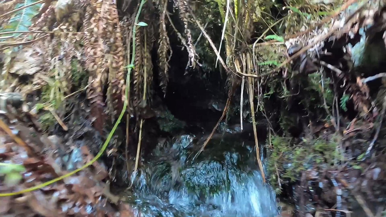 Mountain Spring
