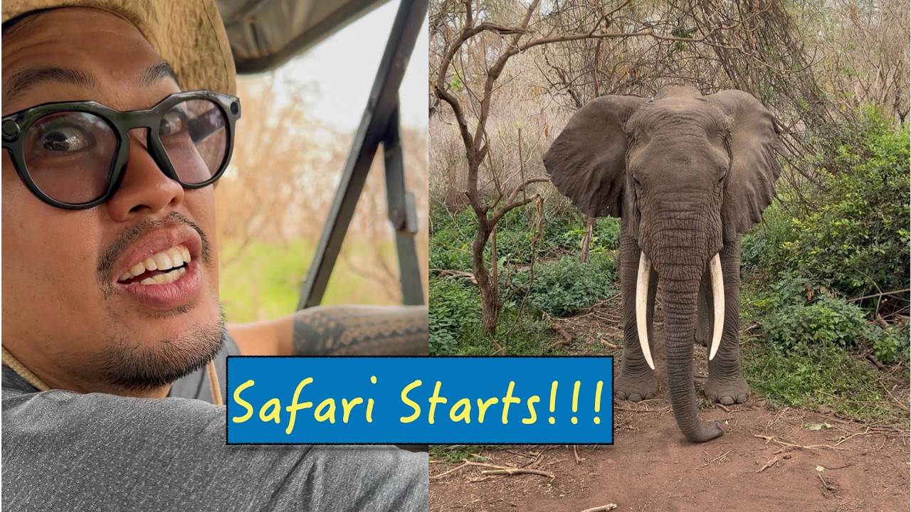 Africa Vlog Series #2: Qatar: Doha to Tanzania; Safari Starts! Vultures Side-Quest!
