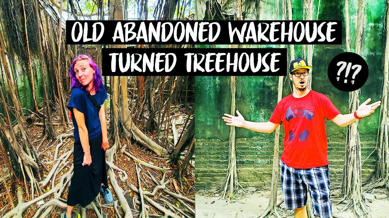 Abandoned Warehouse Overtaken by Trees!!! (Anping Treehouse)