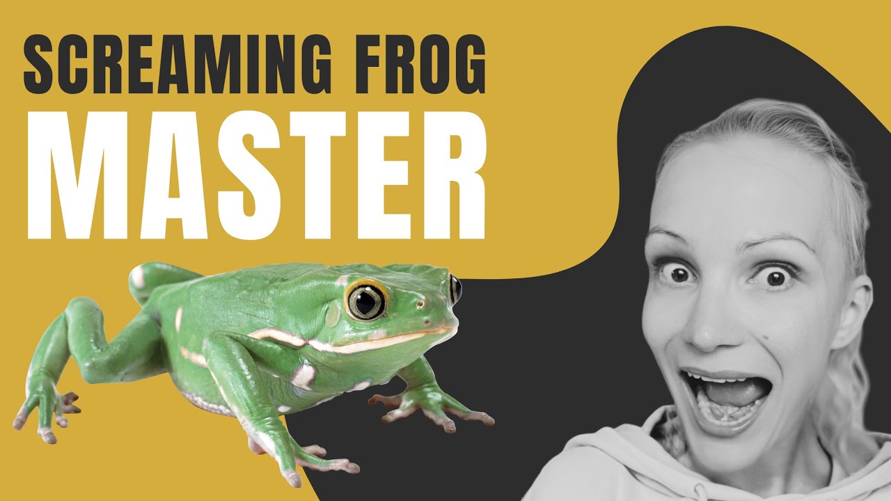 How to crawl your site with Screaming Frog SEO Spider (and make sense of its reports)