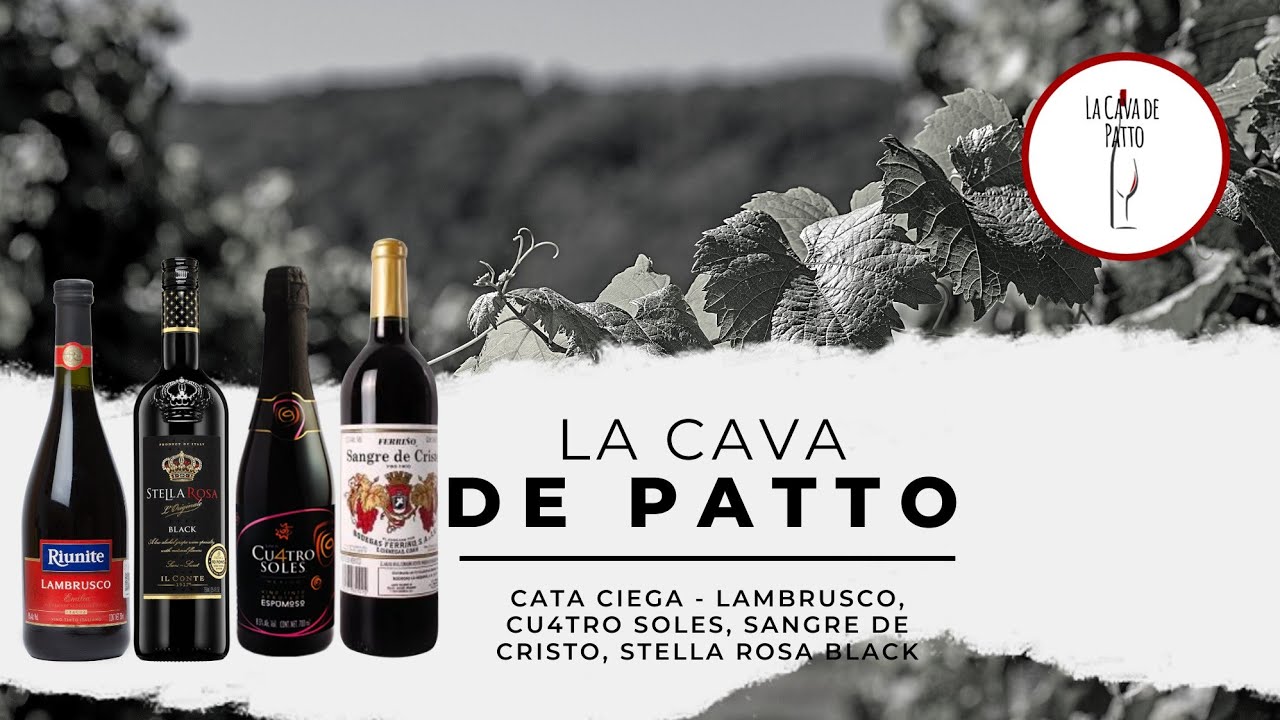 La Cava de Patto - Cata Ciega: Vinos  Lambrusco, Cu4tro Soles, Sangre de Critso y Stella Rosa Black