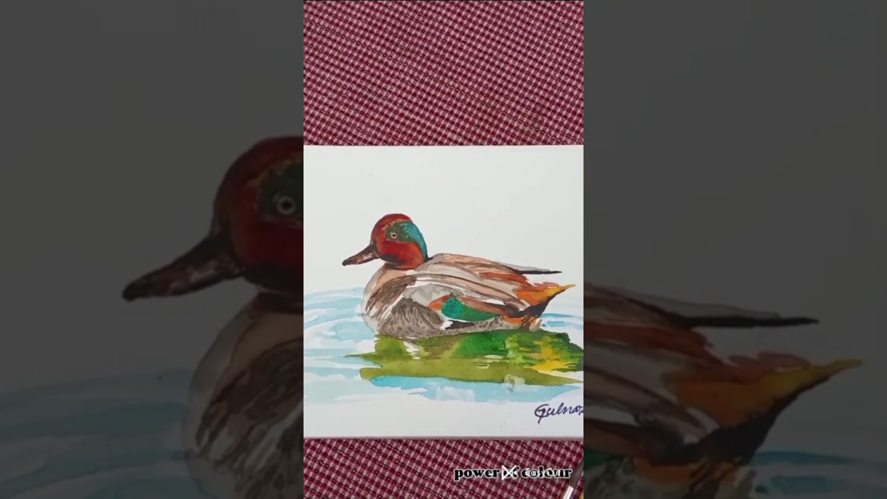 “Watercolour duck study |🦤